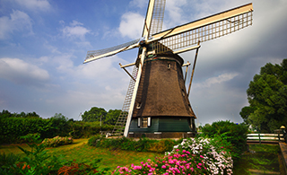 Netherlands-Zaandam: Services relating to contaminated soil